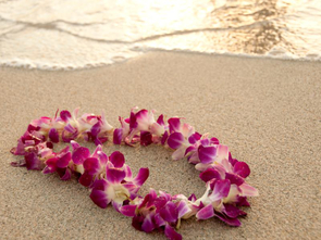Hawaiian Luau
