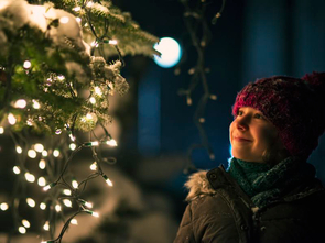 Holiday Lights Excursions