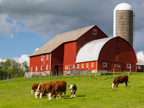 BUS TRIP: Caywood Cotton Farms