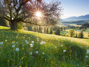 March Into Spring