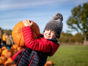 Bountiful Harvest Week
