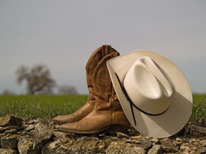Wild, Wild, West