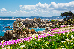 View from Wave Street inn Monterey, CA