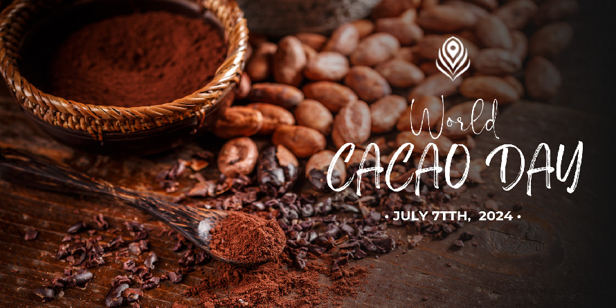 Cacao Day at Casa Velas