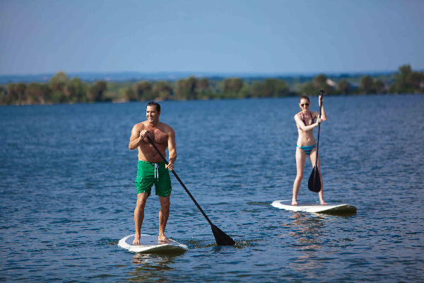 Paddle Board Rentals