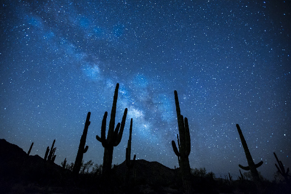 stargazing at ADERO Scottsdale