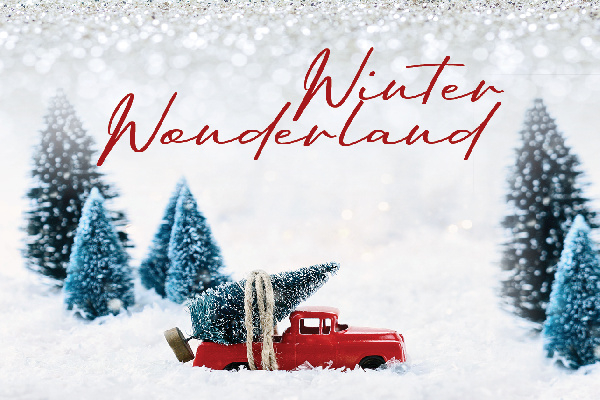 Winter Wonderland Twitter header