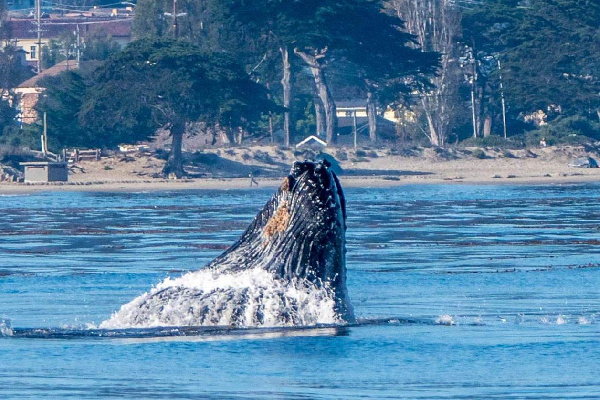 events | Portola Hotel & Spa at Monterey Bay - Monterey | California